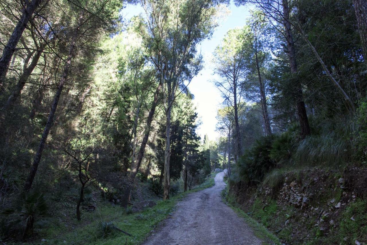 كالاتافيمي La Dimora Di Segesta B&B المظهر الخارجي الصورة