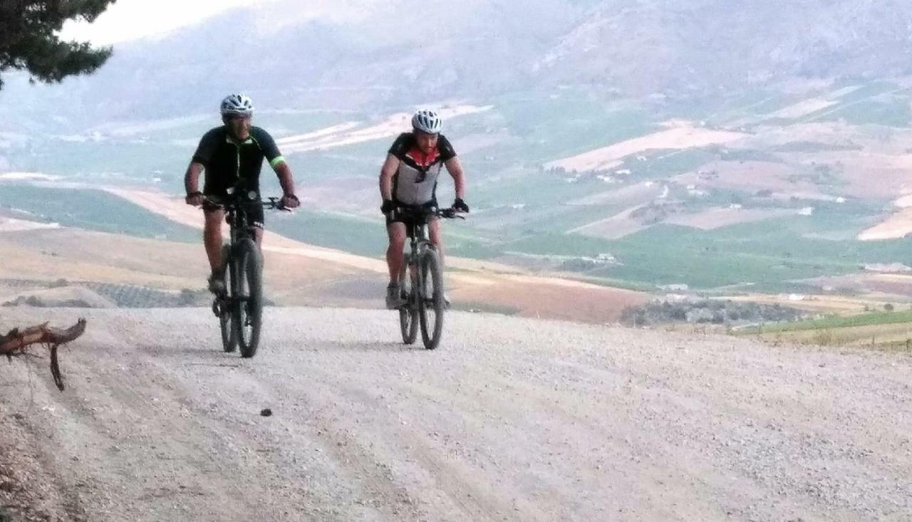 كالاتافيمي La Dimora Di Segesta B&B المظهر الخارجي الصورة